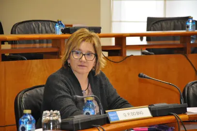 MONTSE PRADO  COMISION SANIDADE