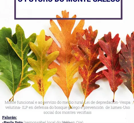acto monte en oia