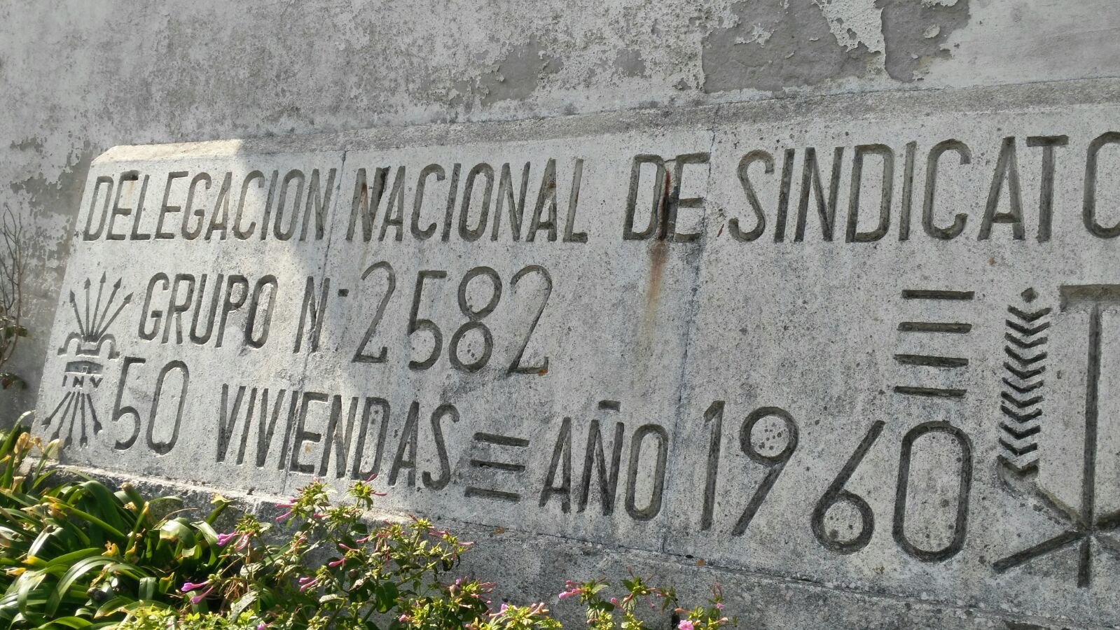 Placa nas casas baratas de Fedorento