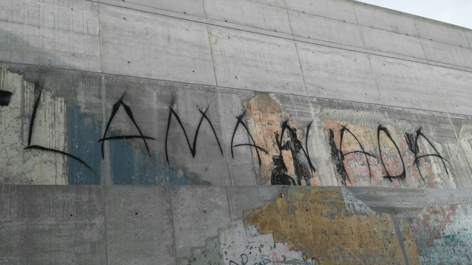 Pintada aparecida no porto da Guarda