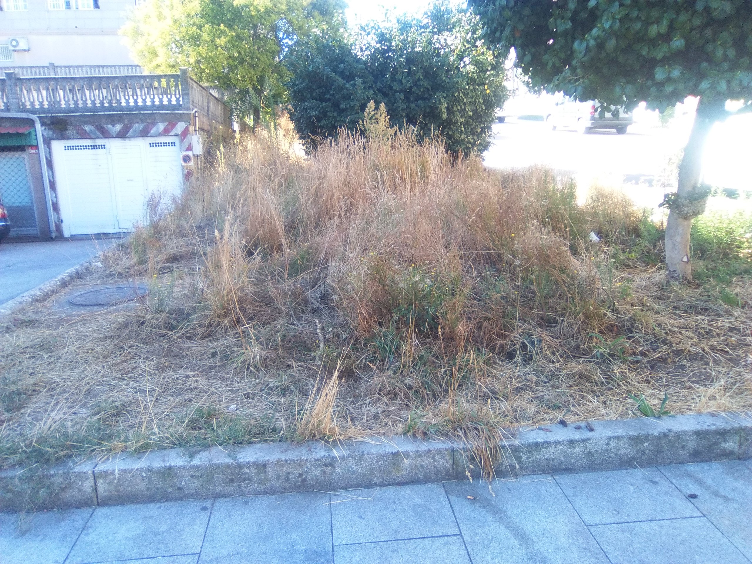 falta de limpeza no centro de Tui